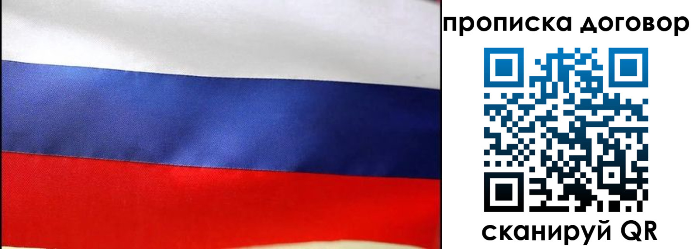 прописка гарантия в Камызяке